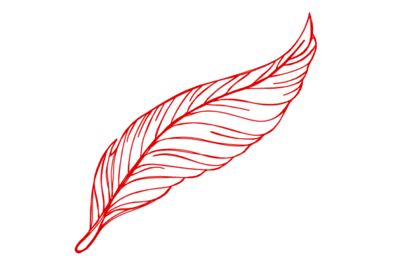 Feather Continuous Line: A Craft Fair Designer's Review